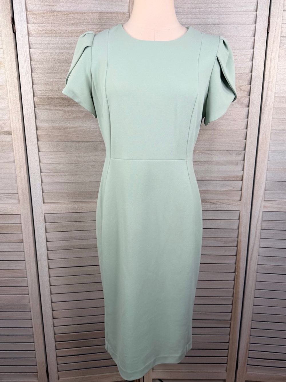 CALVIN KLEIN Women's Tulip Sleeve Sheath Dress Light Sage Green-10